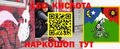 СК Владимир