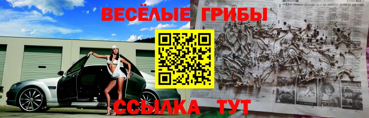 Галлюциногенные грибы ЛСД Белорецк